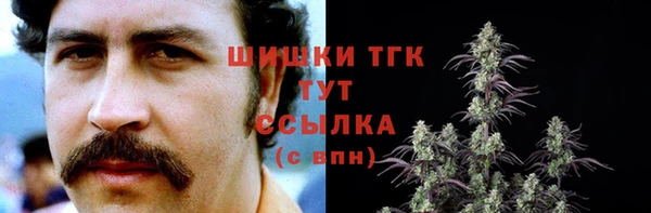 хмурый Кодинск
