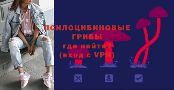 хмурый Кодинск