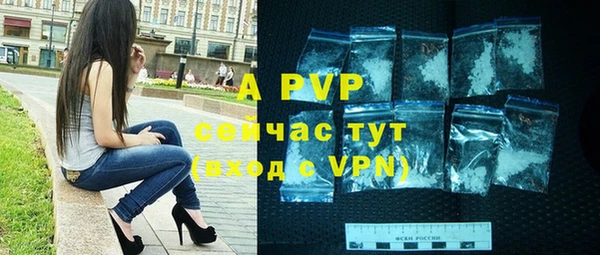 хмурый Кодинск