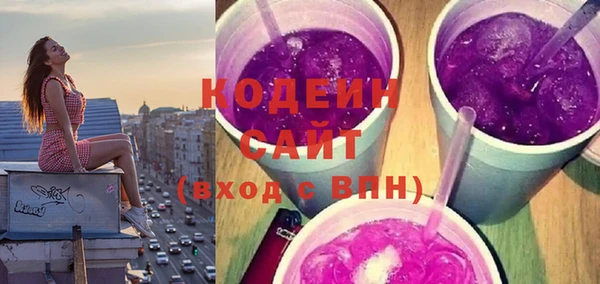 хмурый Кодинск