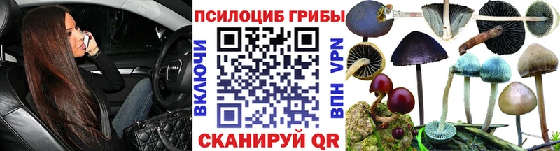 Псилоцибиновые грибы GOLDEN TEACHER  Купить где  Льгов 
